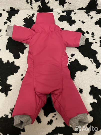 Комбинезон для собак мелкой породы