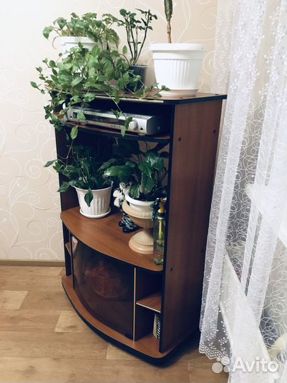 Тумба под тв,Стенка,Комод