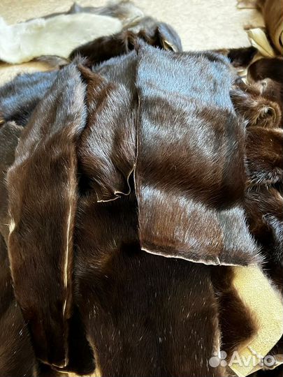 Мех, шкурки