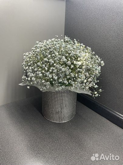 Гипсофила живые цветы подарок