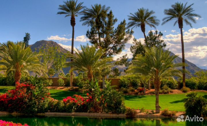 Тур поездка в ОАЭ 6 нч