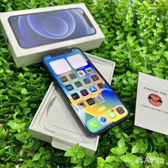 iPhone 12 mini, 256 ГБ