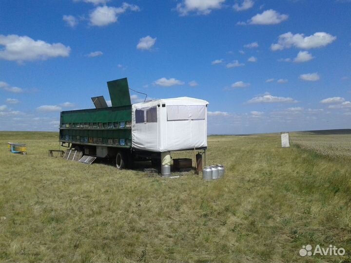 Пчелопавильон с ульями и пчелами