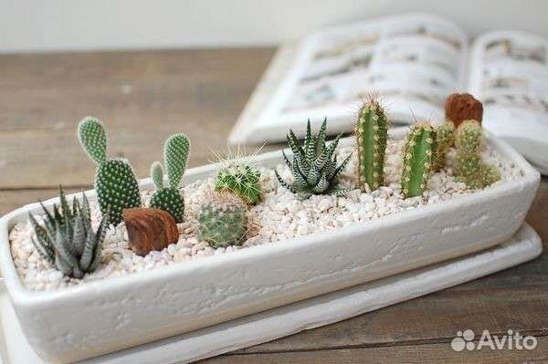 Декоративный камешек, декоративный песок