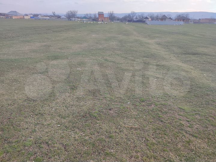 Участок 44 сот. (ИЖС)