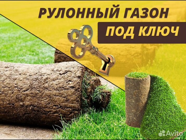 Рулонный газон с укладкой