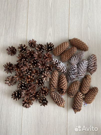 Шишки еловые и сосновые для творчества
