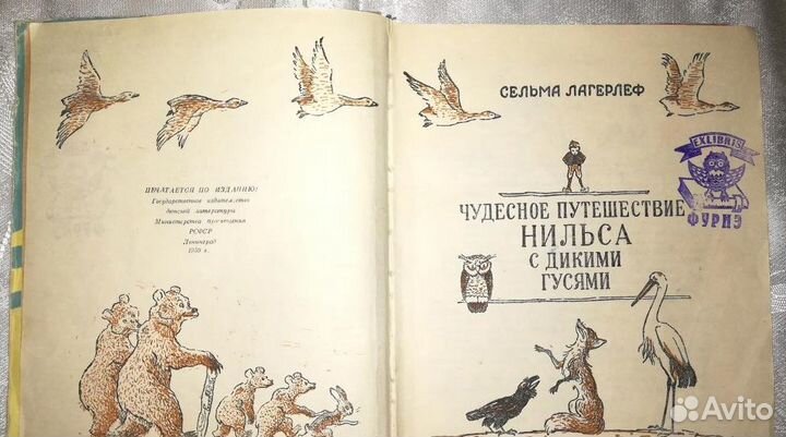 Чудесное путешествие Нильса с дикими гусями. R