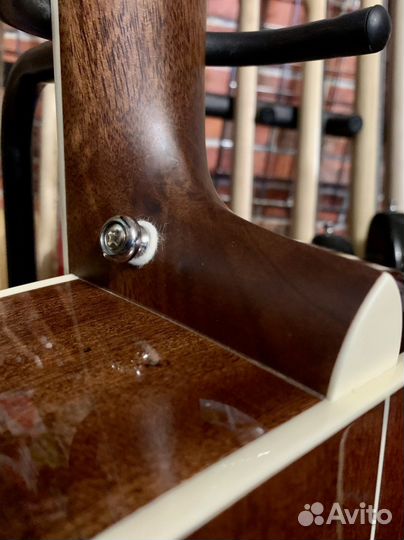 Акустическая Гитара Cort (Массив Ели)