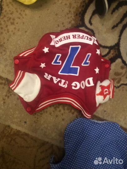 Одежда для маленьких собак