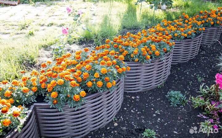 Полимерная лоза (бухта 100 м.)