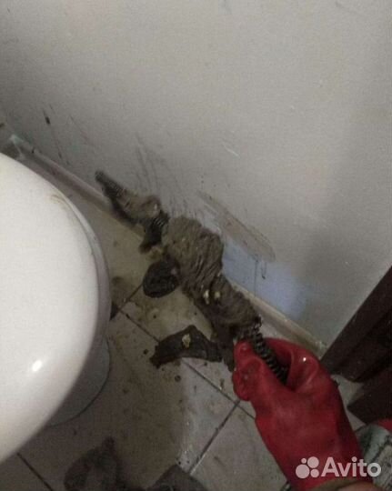 Прочистка канализации Устранение засоров 24/7