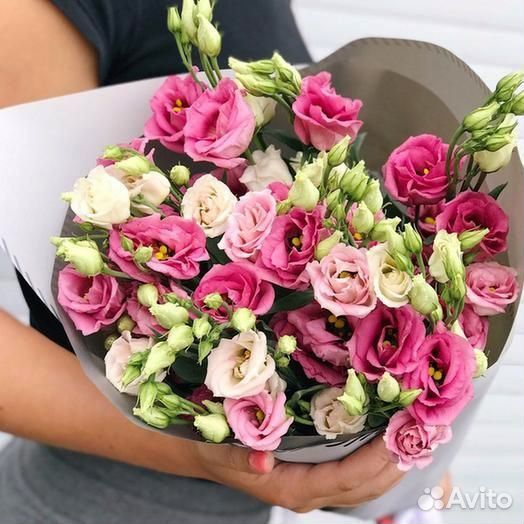 Эустомы всех цветов