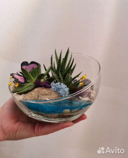 Флорариум на подарок. 16 см. Скошенный шар