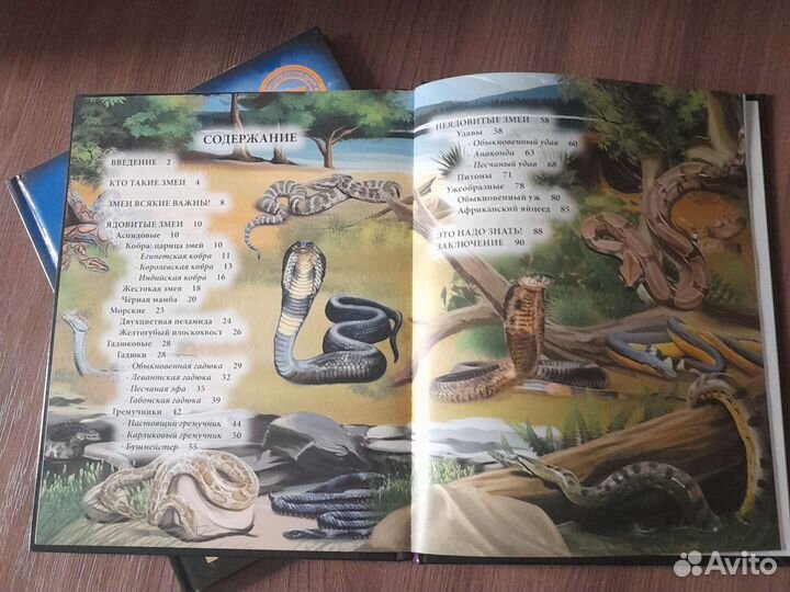 Энциклопедия