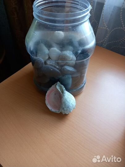 Аквариумные рыбки и аксессуары