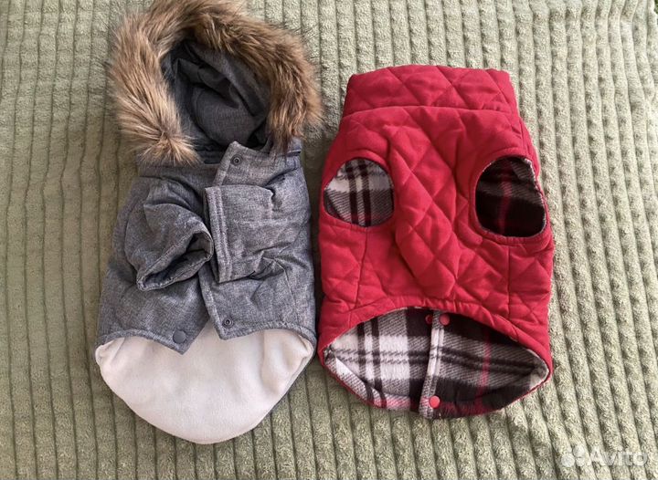 Куртка и жилет для собаки