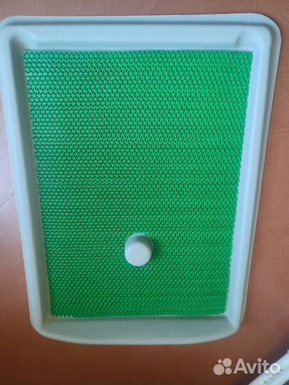 Лоток для собак