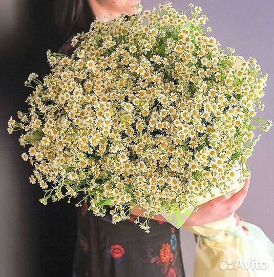 Доставка цветов. Ромашки