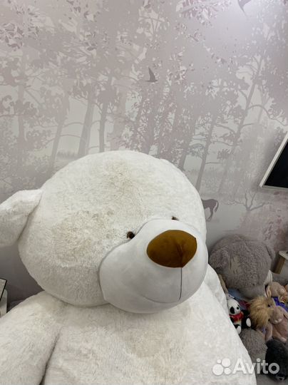 Плюшевый медведь