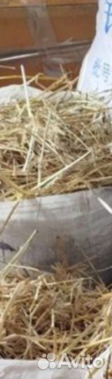 Солома сено в мешках