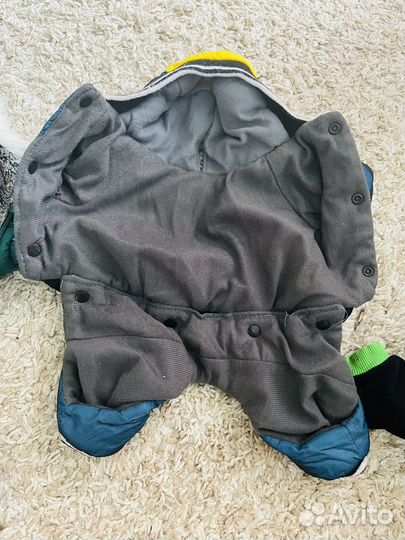 Одежда для собак за 2