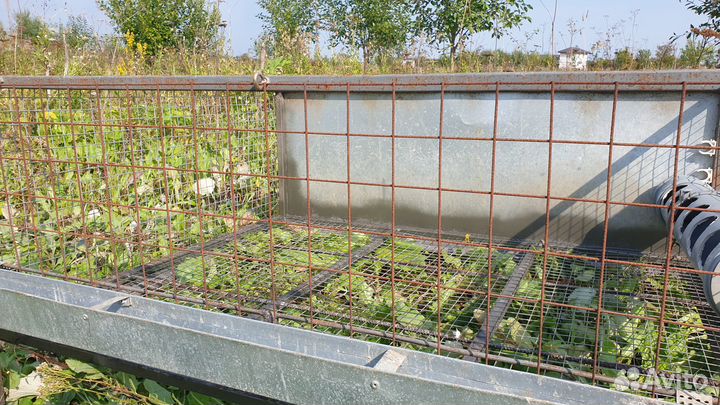 Продам брудер