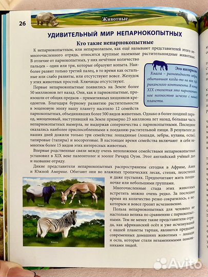 Энциклопедия 