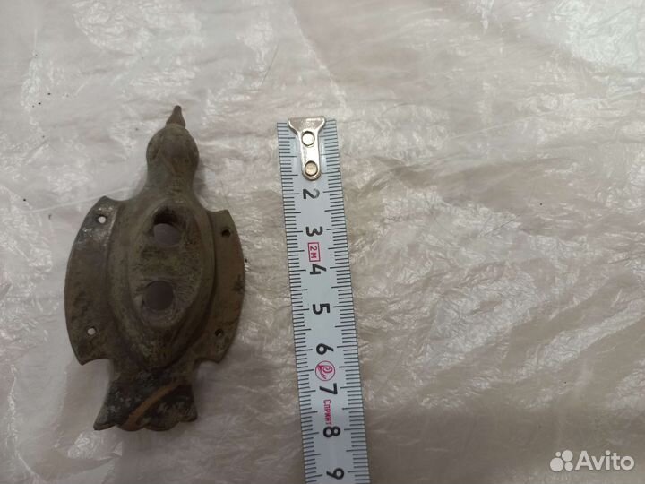 Конина хобби