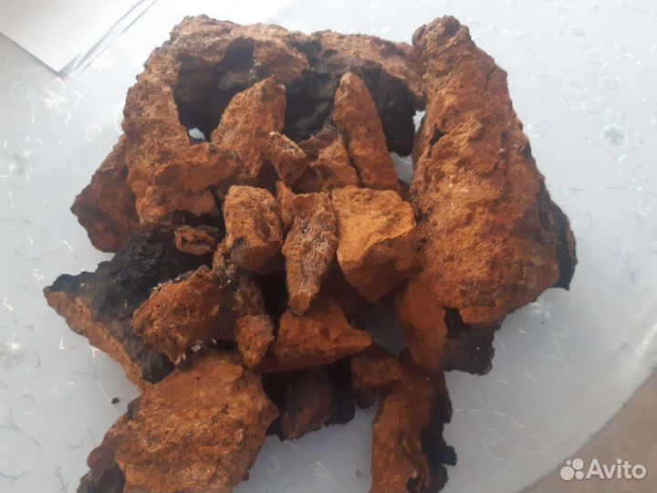 Березовый гриб чага куски