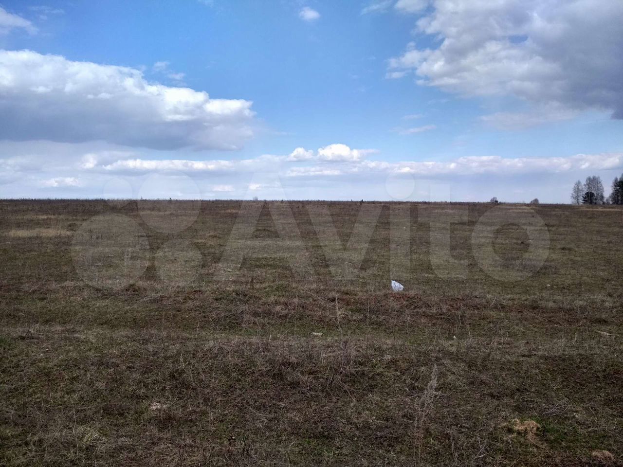 Участок 3,56 га (СНТ, ДНП)