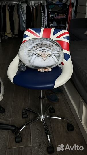 Манул домашний