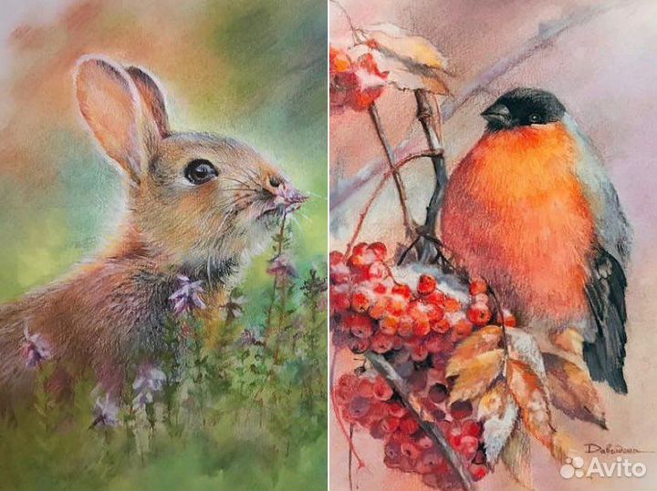 Художник иллюстратор