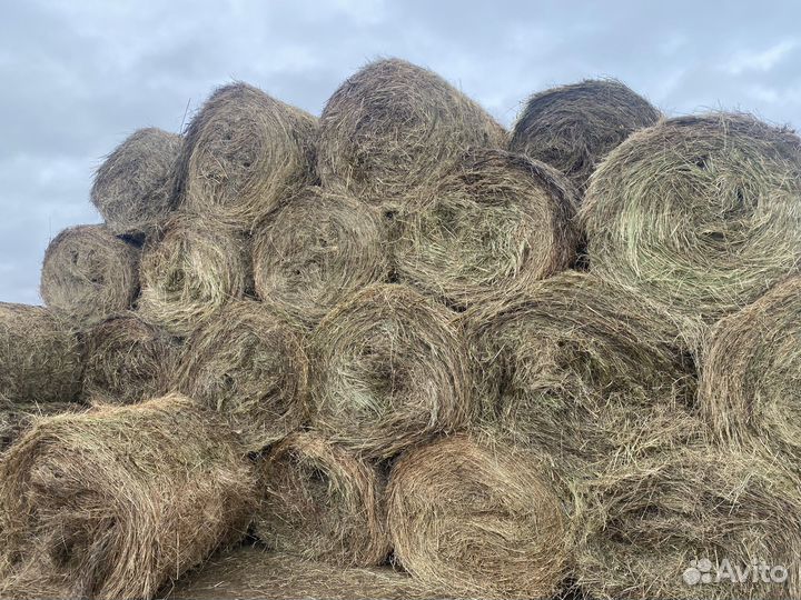 Сено в рулонах с доставкой