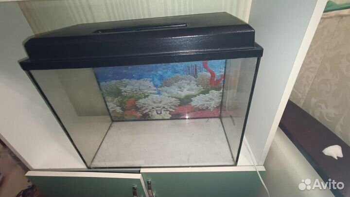Аквариум