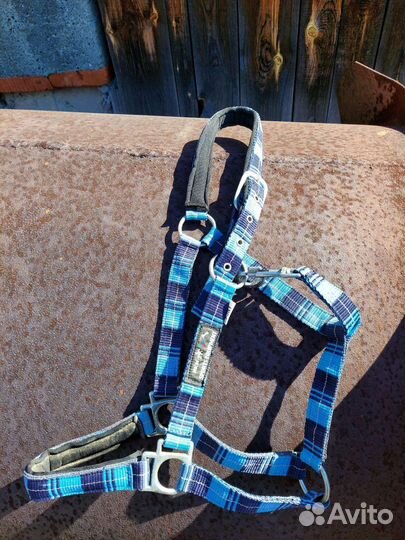 Недоуздки для лошади и пони