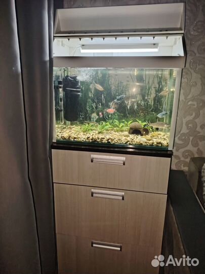 Аквариум с тумбой 70 литров