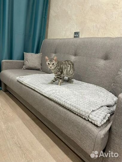 Диван прямой раскладной новый