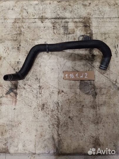 Патрубок радиатора Levante m161