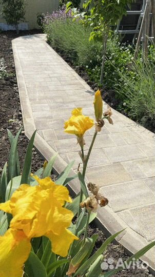 Тротуарная плитка и поребрик заказ от 120 м2