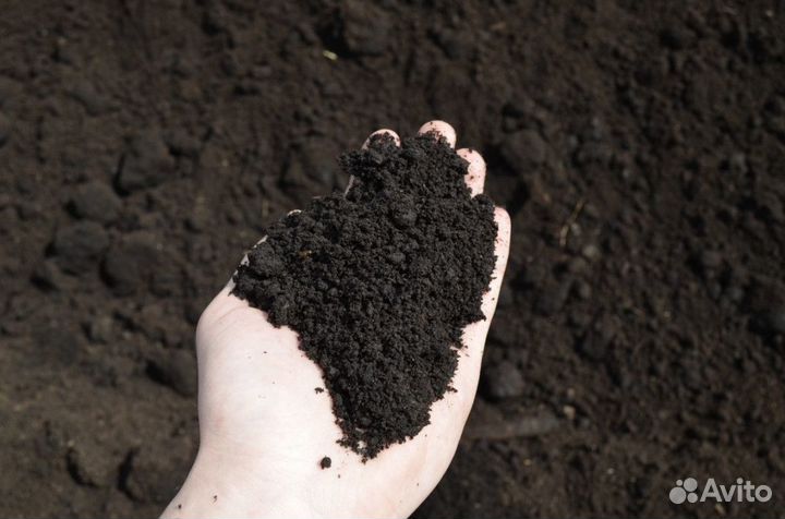Земля плодородная, торфяно-земельная смесь