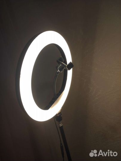 Кольцевая лампа (Аренда)