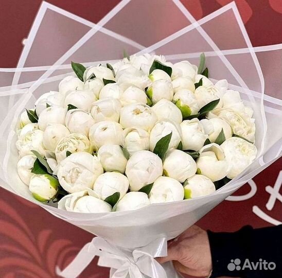 Пионы Букет