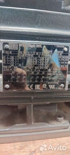 Насос водокольцевой Busch Dolphin LX 0055 B