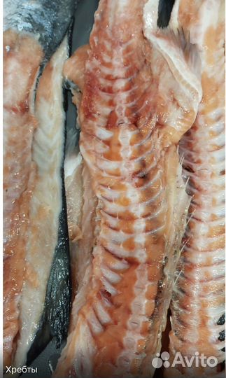Головы лосося(форели) + хребты