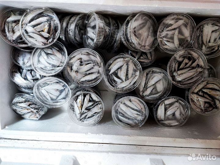 Тюлька для рыбалки