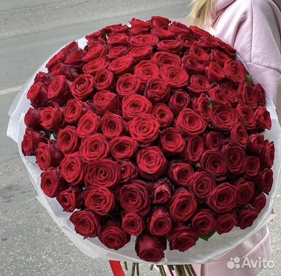 Цветы и букеты Роз 101 51 оптом