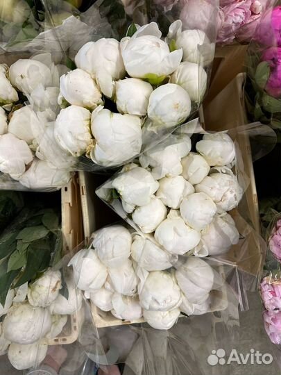 Цветы оптом по всей России