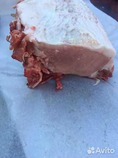 Мясо. Свинина домашняя. Сало