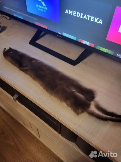 Шкурки норки